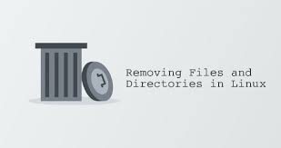 How to Remove (Delete) Files and Directories in Linux